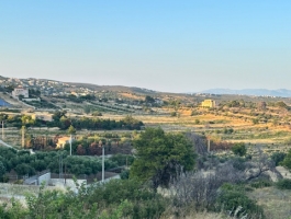 ΠΑΛΛΗΝΗ ΠΑΝΟΡΑΜΑ ΟΙΚΟΠΕΔΟ 350ΤΜ