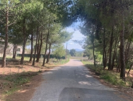 ΔΙΩΝΗ ΟΙΚΟΠΕΔΟ 500ΤΜ