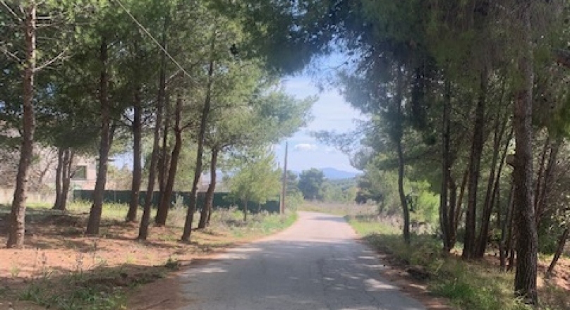 ΔΙΩΝΗ ΟΙΚΟΠΕΔΟ 500ΤΜ