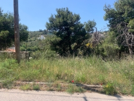 ΝΤΡΑΦΙ ΟΙΚΟΠΕΔΟ 1.000 Τ.Μ.