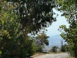 ΝΤΡΑΦΙ ΟΙΚΟΠΕΔΟ 1000ΤΜ