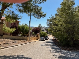 ΔΙΩΝΗ ΟΙΚΟΠΕΔΟ 500ΤΜ